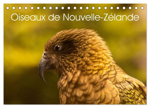 Oiseaux de Nouvelle-Zélande (Calendrier de bureau 2027 DIN A5 vertical), CALVENDO calendrier mensuel