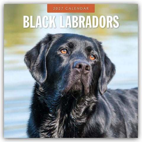 Black Labrador Retrievers – Schwarze Labrador Retriever 2027 – 16-Monatskalender