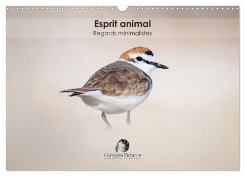 Esprit animal - Regards minimalistes (Calendrier mural 2027 DIN A3 vertical), CALVENDO calendrier mensuel