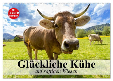 Glückliche Kühe auf saftigen Wiesen (Wandkalender 2026 DIN A2 quer), CALVENDO Monatskalender