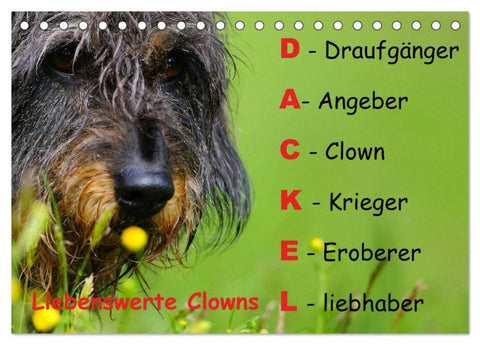 Liebenswerte Clowns (Tischkalender 2026 DIN A5 quer), CALVENDO Monatskalender