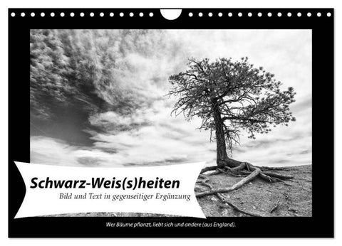 Schwarz-Weis(s)heiten (Wandkalender 2026 DIN A4 quer), CALVENDO Monatskalender