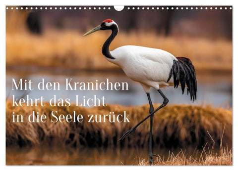 Mit den Kranichen kehrt das Licht in die Seele zurück (Wandkalender 2027 DIN A3 quer), CALVENDO Monatskalender
