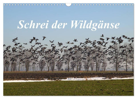 Schrei der Wildgänse (Wandkalender 2027 DIN A3 quer), CALVENDO Monatskalender