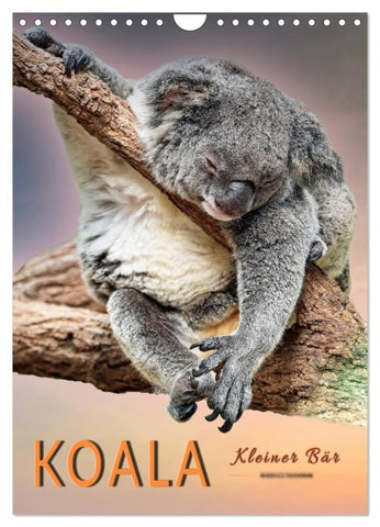 Koala, kleiner Bär (Wandkalender 2027 DIN A4 hoch), CALVENDO Monatskalender