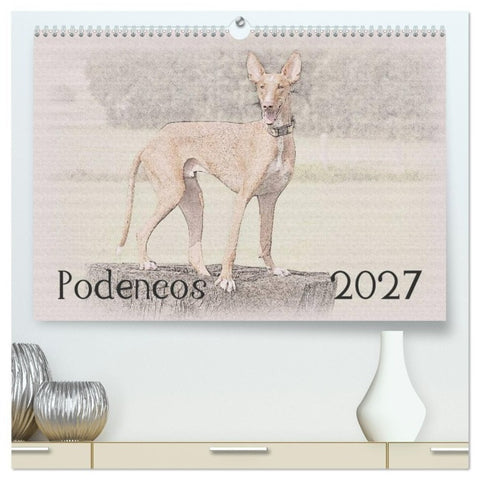 Podencos 2027 (hochwertiger Premium Wandkalender 2027 DIN A2 quer), Kunstdruck in Hochglanz