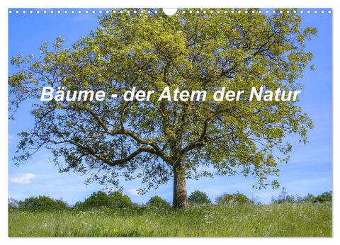 Bäume, der Atem der Natur (Wandkalender 2027 DIN A3 quer), CALVENDO Monatskalender
