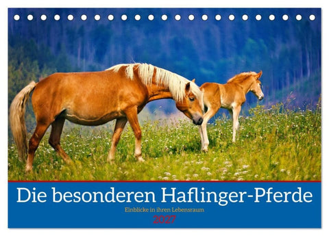 Die besonderen Haflinger-Pferde (Tischkalender 2027 DIN A5 quer), CALVENDO Monatskalender