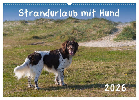 Strandurlaub mit Hund (Wandkalender 2026 DIN A2 quer), CALVENDO Monatskalender