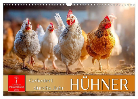 Hühner - gefiedert durchs Jahr (Wandkalender 2026 DIN A3 quer), CALVENDO Monatskalender