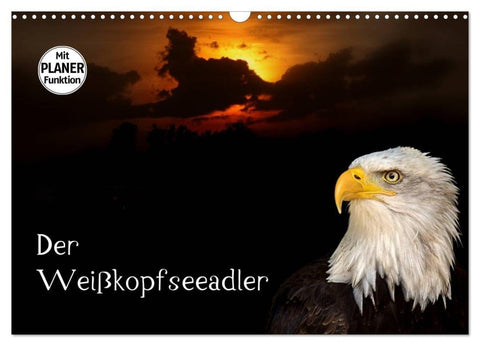 Der Weißkopfseeadler (Wandkalender 2027 DIN A3 quer), CALVENDO Monatskalender