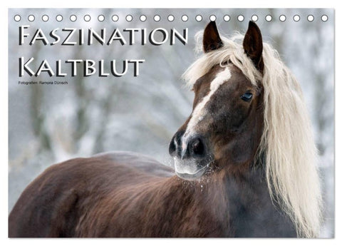 Faszination Kaltblut (Tischkalender 2027 DIN A5 quer), CALVENDO Monatskalender