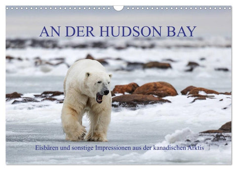 AN DER HUDSON BAY (Wandkalender 2027 DIN A3 quer), CALVENDO Monatskalender