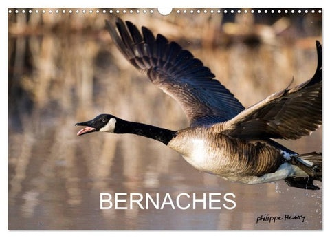 BERNACHES (Calendrier mural 2027 DIN A3 vertical), CALVENDO calendrier mensuel