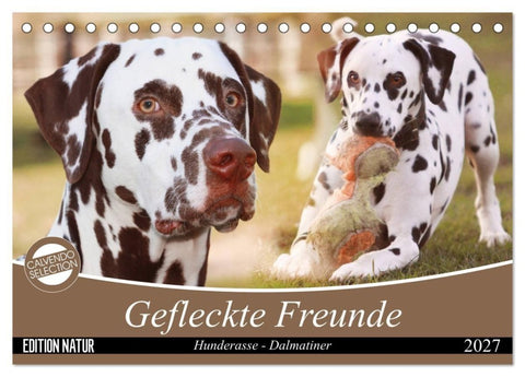 Gefleckte Freunde - Hunderasse Dalmatiner (Tischkalender 2027 DIN A5 quer), CALVENDO Monatskalender