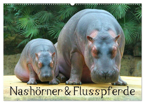 Nashörner & Flusspferde (Wandkalender 2026 DIN A2 quer), CALVENDO Monatskalender