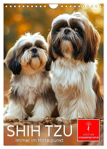 Shih Tzu - immer im Mittelpunkt (Wandkalender 2026 DIN A4 hoch), CALVENDO Monatskalender