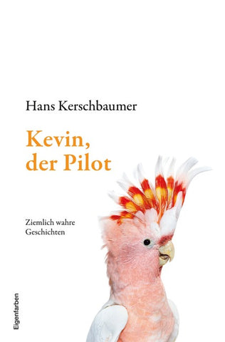 Kevin, der Pilot