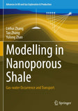 Modelling in Nanoporous Shale
