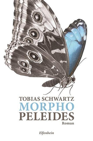 Morpho peleides