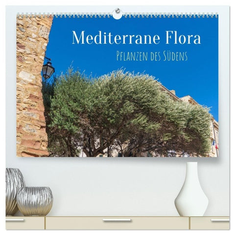 Mediterrane Flora - Pflanzen des Südens (hochwertiger Premium Wandkalender 2027 DIN A2 quer), Kunstdruck in Hochglanz