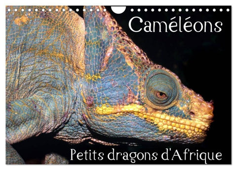 Caméléons - Petits dragons d'Afrique. (Calendrier mural 2027 DIN A4 vertical), CALVENDO calendrier mensuel