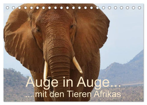 Auge in Auge mit den Tieren Afrikas (Tischkalender 2026 DIN A5 quer), CALVENDO Monatskalender