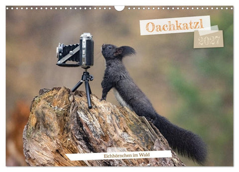Oachkatzl (Wandkalender 2027 DIN A3 quer), CALVENDO Monatskalender
