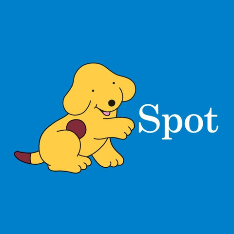 Tidy up with Spot