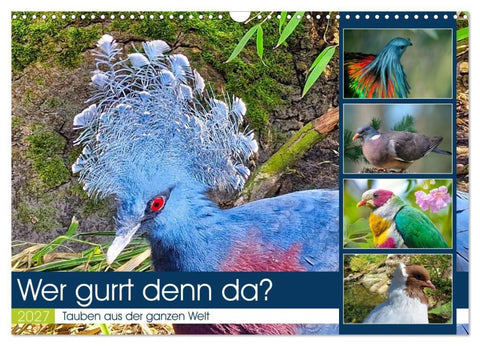 Wer gurrt denn da? (Wandkalender 2027 DIN A3 quer), CALVENDO Monatskalender