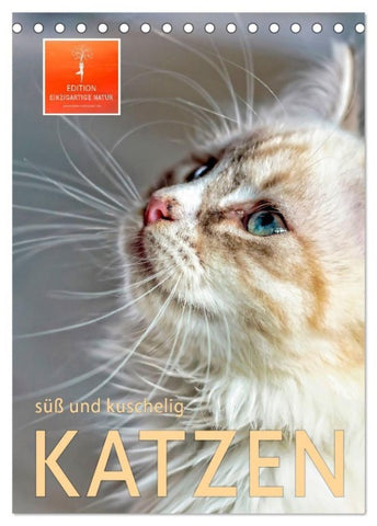 Katzen - süß und kuschelig (Tischkalender 2027 DIN A5 hoch), CALVENDO Monatskalender