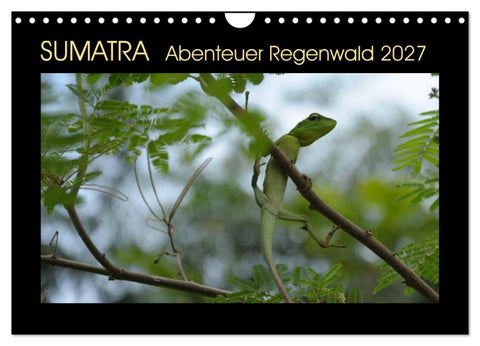 SUMATRA Abenteuer Regenwald (Wandkalender 2027 DIN A4 quer), CALVENDO Monatskalender