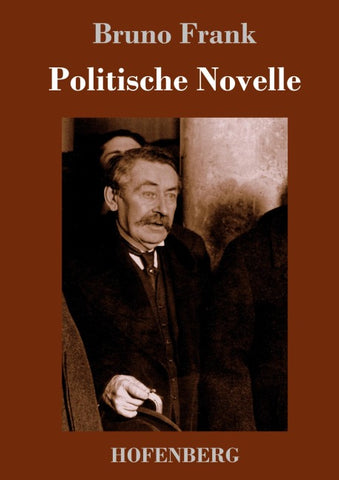 Politische Novelle