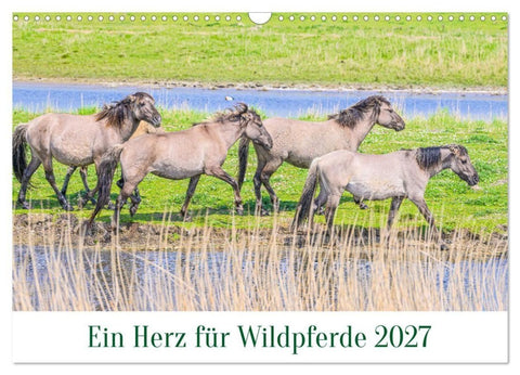 Ein Herz für Wildpferde (Wandkalender 2027 DIN A3 quer), CALVENDO Monatskalender