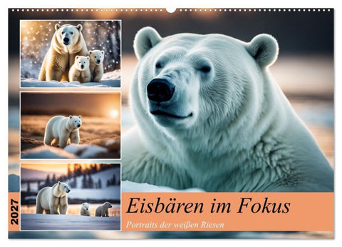 Eisbären im Fokus (Wandkalender 2027 DIN A2 quer), CALVENDO Monatskalender