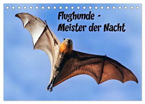 Flughunde - Meister der Nacht (Tischkalender 2026 DIN A5 quer), CALVENDO Monatskalender