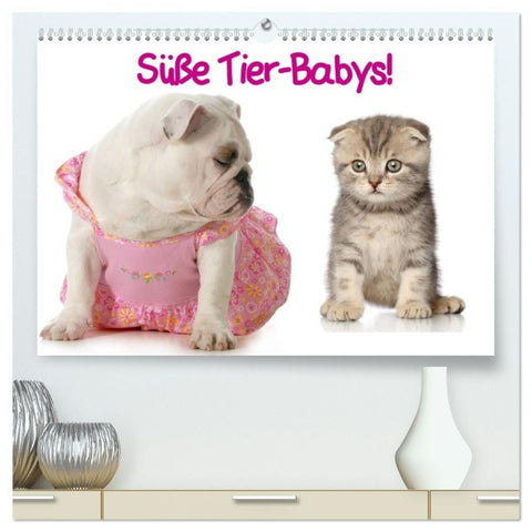 Süße Tier-Babys! (hochwertiger Premium Wandkalender 2026 DIN A2 quer), Kunstdruck in Hochglanz