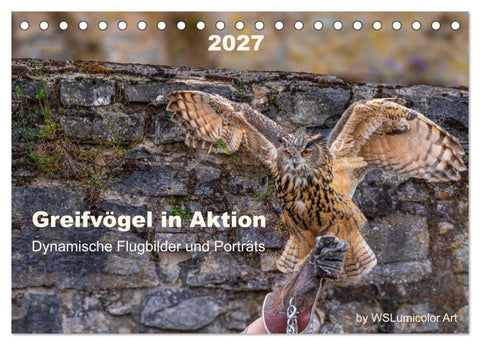 Greifvögel in Aktion - Dynamische Flugbilder und Porträts (Tischkalender 2027 DIN A5 quer), CALVENDO Monatskalender