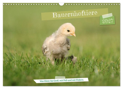 Bauernhoftiere - Von Klein bis Groß, mit Fell und mit Federn. (Wandkalender 2027 DIN A3 quer), CALVENDO Monatskalender