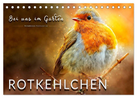 Bei uns im Garten - Rotkehlchen (Tischkalender 2027 DIN A5 quer), CALVENDO Monatskalender