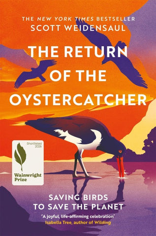 The Return of the Oystercatcher
