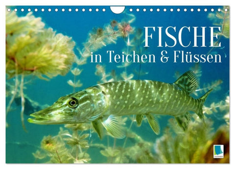 Fische in Teichen und Flüssen (Wandkalender 2027 DIN A4 quer), CALVENDO Monatskalender