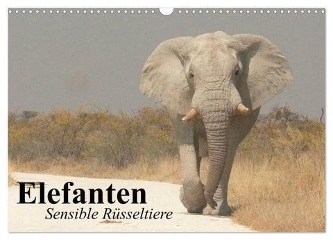 Elefanten. Sensible Rüsseltiere (Wandkalender 2027 DIN A3 quer), CALVENDO Monatskalender