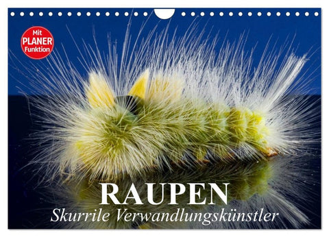 Raupen. Skurrile Verwandlungskünstler (Wandkalender 2026 DIN A4 quer), CALVENDO Monatskalender