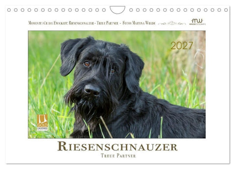 Riesenschnauzer - Treue Partner (Wandkalender 2027 DIN A4 quer), CALVENDO Monatskalender