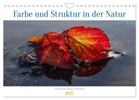 Farbe und Struktur in der Natur (Wandkalender 2027 DIN A4 quer), CALVENDO Monatskalender