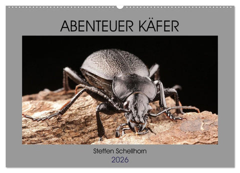 ABENTEUER KÄFER (Wandkalender 2026 DIN A2 quer), CALVENDO Monatskalender