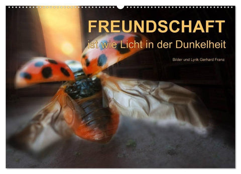 Freundschaft (Wandkalender 2027 DIN A2 quer), CALVENDO Monatskalender
