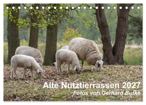 Alte Nutztierrassen 2027 (Tischkalender 2027 DIN A5 quer), CALVENDO Monatskalender