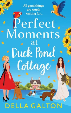 Perfect Moments at Duck Pond Cottage